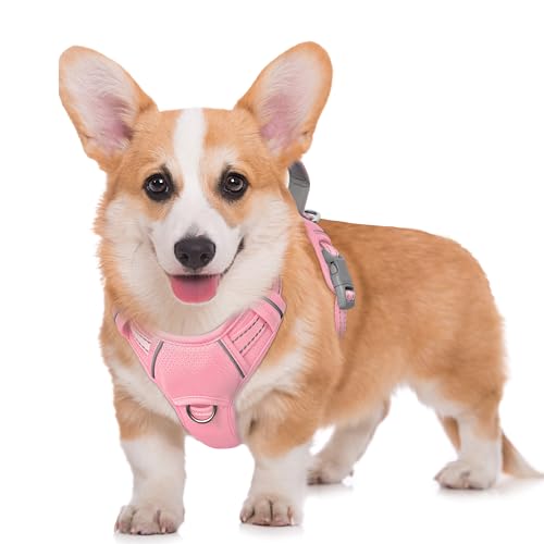 Dog Harness for Medium Sized Dog No Pull Dog Vest ID Tag Pocket (Baby Pink / Medium)