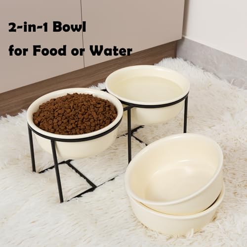 Elevated Ceramic Dog Bowl Set (Beige / L × 2)