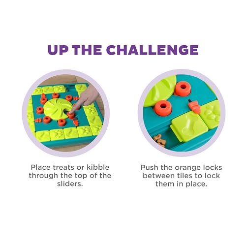 Nina Ottosson MultiPuzzle Dog Toy Treat Puzzle (Multipuzzle (Green) / 1 Count (Pack of 1))