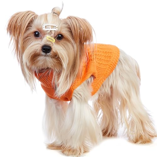 Cat Sweater Stretchy (Orange / X-Small)