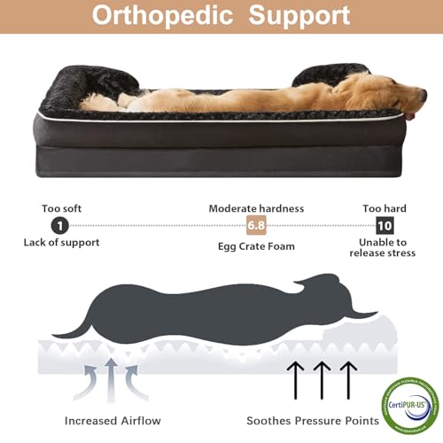 Orthopedic Washable XL Dog Bed for Senior Dog Cozy Sleep (42.0"l X 30.0"w X 7.0"th / Light Black)