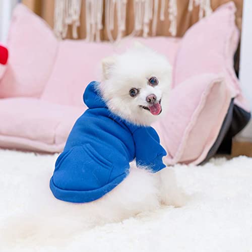 Dog Hoodie for Small Medium Dogs Cats (Blue / X-Small)