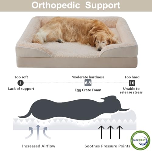 Orthopedic Washable Dog Bed Large for Senior Dog Cozy Sleep (36.0"l X 27.0"w X 6.5"th / Beige)