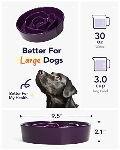 Slow Feeder Dog Bowls Ceramic (Maze Purple / L-3 Cups)