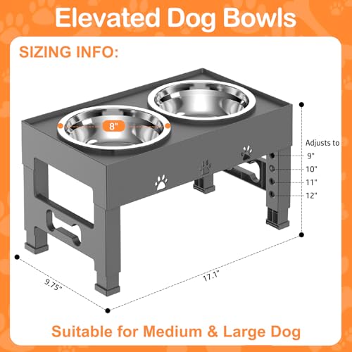 Elevated Dog Bowls with 2 Stainless Steel Bowls (For Medium Large Dogs / Gray)
