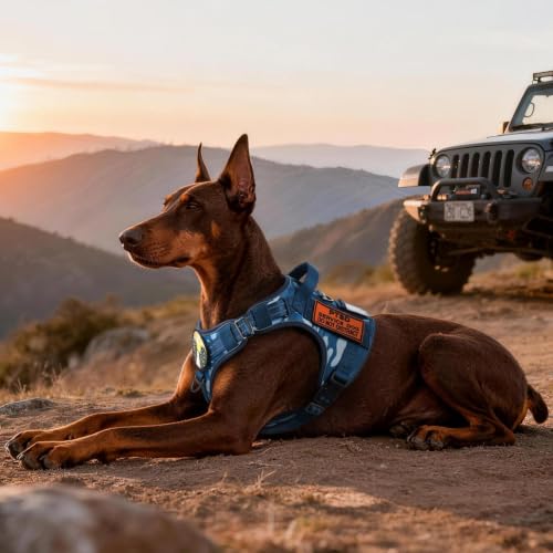 Tactical Dog Harness for Large Dogs (Xl(chest:23.6"-41.8",neck:21.7"-32.3",back:9.1") / Blue Camo)