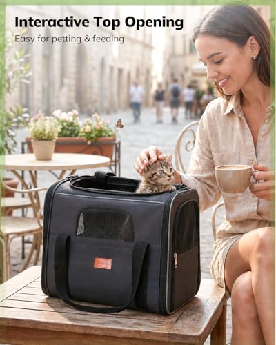 Cat Carrier Soft for Large Medium Cats and Puppy up to 20lbs (Dark Gray / 17.3"L x 12.2"W x 13.4"H)