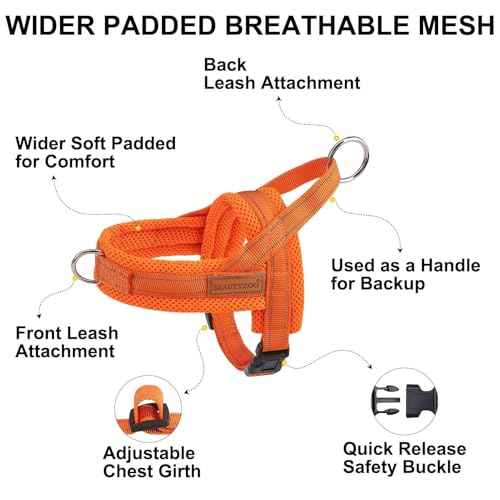 Dog Harness Medium Sized and Leash Set (Orange / M: Chest 21"-26.7")