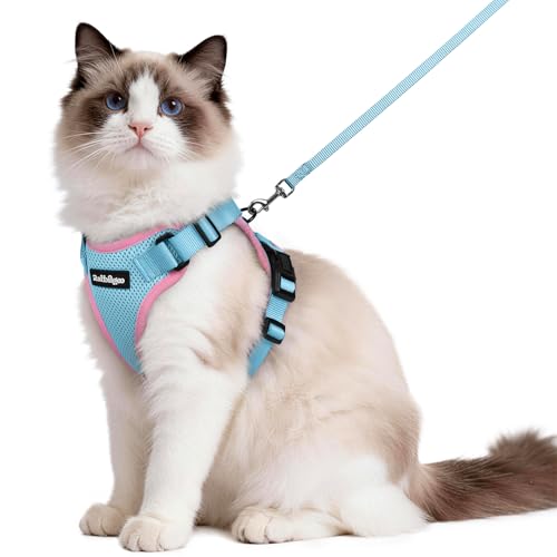 Cat Harness and Leash Set (M / Light Blue & Pink)