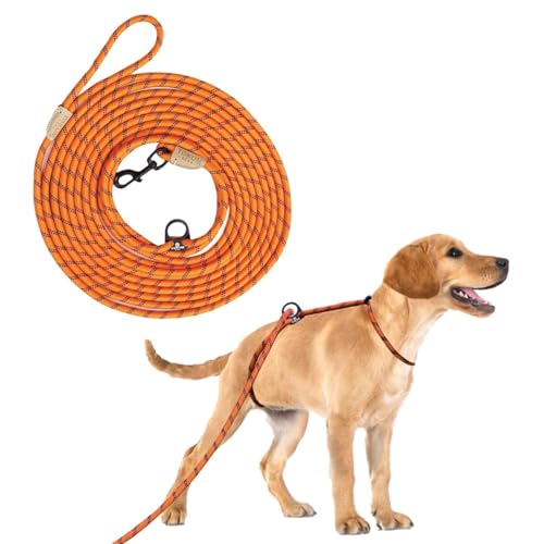 30ft Check Cord to Train Dog (30 Ft / ORANGE)