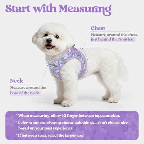 Dog Harness Medium Sized and Leash Set (Lavender Floral / M (chest: 16 - 18.5"))