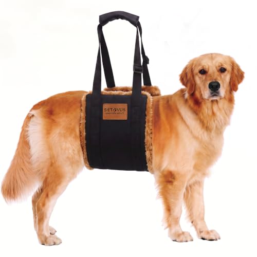 Adjustable Dog Lifting Harness (Brown / Large)