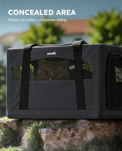 Cat Carrier Stable (Dark Gray Regular / 16.9"L x 11.0"W x 11.0"H)