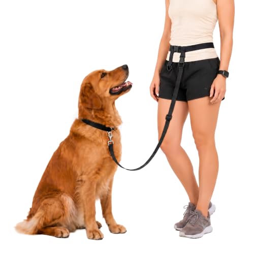 Hands Free Dog Leash (Regular Dog System (Regular Belt (22"- 40" Waist)) / Black)