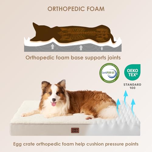 Orthopedic Dog Bed Large with Removable Washable Cover (47*29*3.5 inches / Camel)