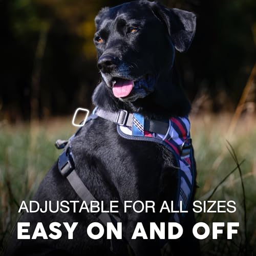 Embark No Pull Dog Harness (S / Maverick)
