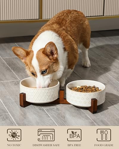 Dog Bowl Set Ceramic Bowls with Walnut Wood Stand (Five-leaf Grass+Honeycomb / 4 Cups)