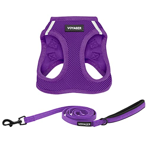 Voyager Step in Air All Weather Mesh Harness and Reflective Dog 5ft Leash Combo with Neoprene Handle (Harness Leash Set (Purple) / M (Chest: 16 - 18"))