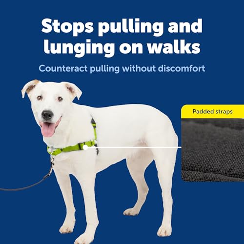 Deluxe Easy Walk No Pull Dog Harness (Medium/Large / Apple Green)