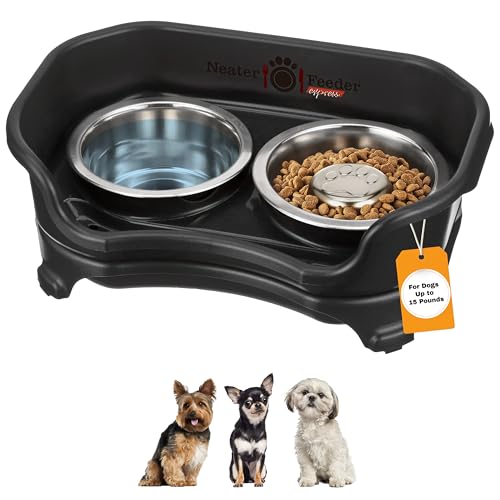 Express Mess Proof Dog Bowls Elevated for Small Breed (Small w/ Metal Slow Feed Bowl / Midnight Black)