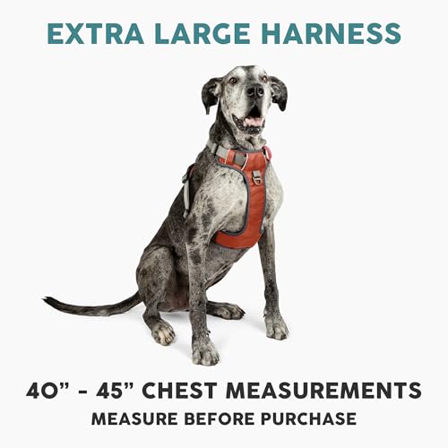 Embark No Pull Dog Harness (XL / Orange)