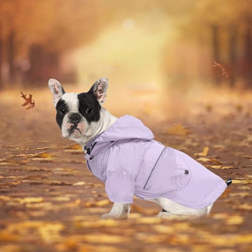 Dog Zip Up Raincoat with Reflective Buttons (Small / Purple)