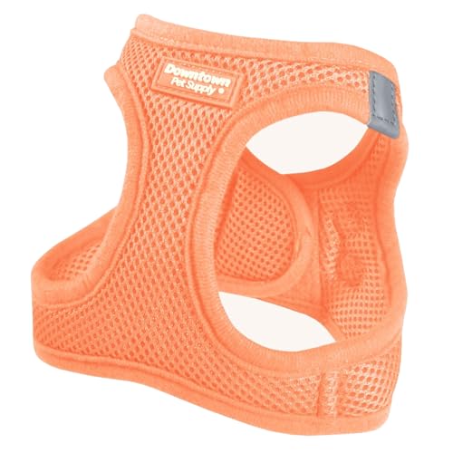 Pastel Step In Harness for Small Dogs (XX-Small / Tangerine)