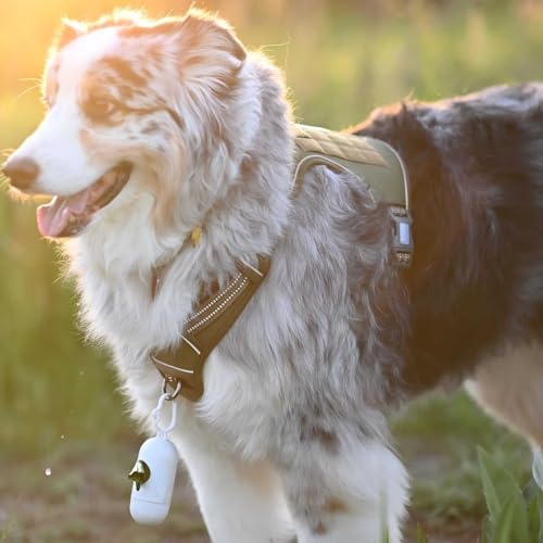 Dog Harness for Small Medium Dogs (Green / S(Neck:14-21",Chest:20-31"),18-35 lbs)