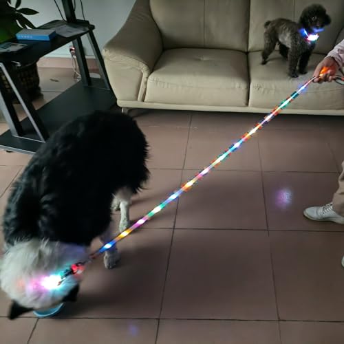 Light up Dog Leash USB Rechargeable for Small Medium Large Dogs (Bohemian Blue / L59in/W1in)