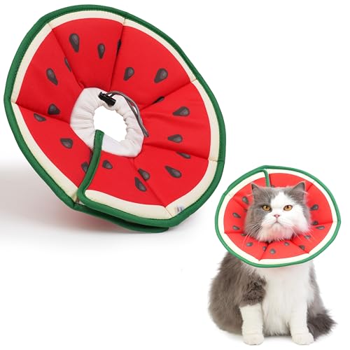 Cat Cone Collar Soft (Watermelon / Small)
