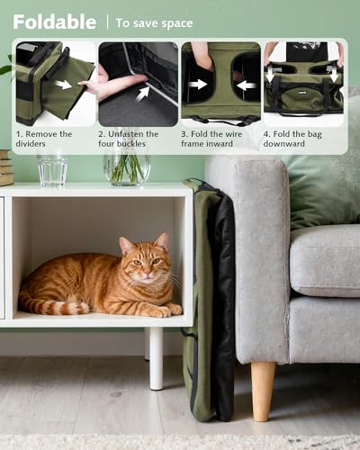 Large Cat Carrier (Green)