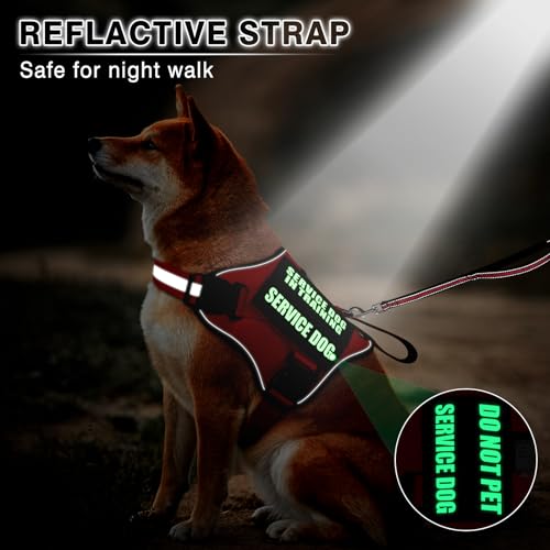 Service Dog Vest Harness and Leash Set+10 Patches (Extra-large / Red)