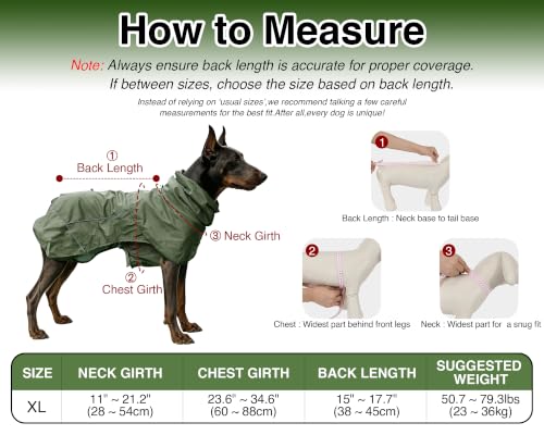 Dog Raincoat with Hood (Green (Mesh Lining) / XL)