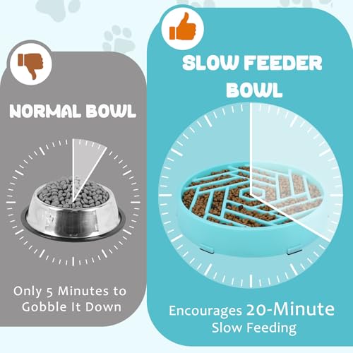Slow Feeder Dog Bowl (sky blue)