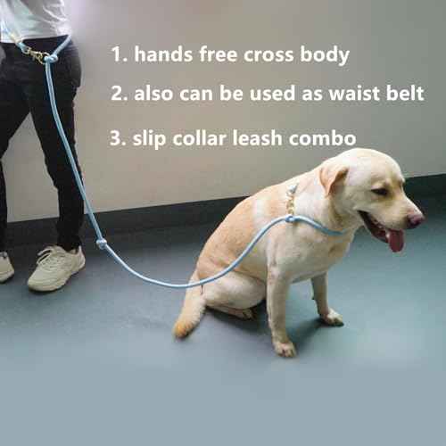 Multifunctional 8.5 ft Nylon Rope Hands Free Dog Leash for Running Small Medium Large Dogs (Army Green / 8.5FT x 10MM)