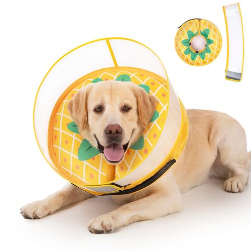 Inflatable Dog Cone Collar for Large Medium Small Dogs (Pineapple / Large)