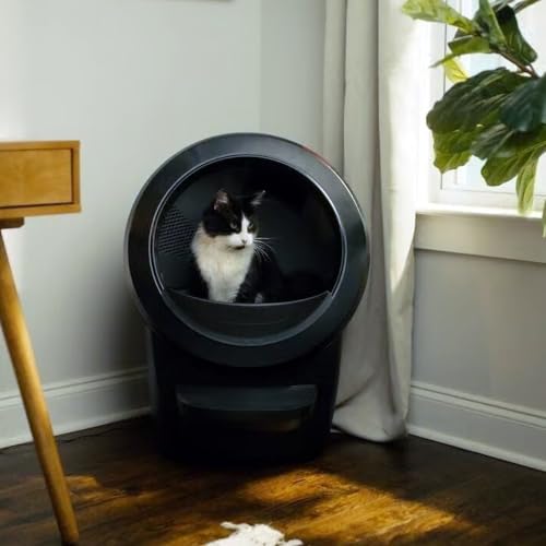 Litter Robot 4 with Step & Fence (Black / Robot Only)