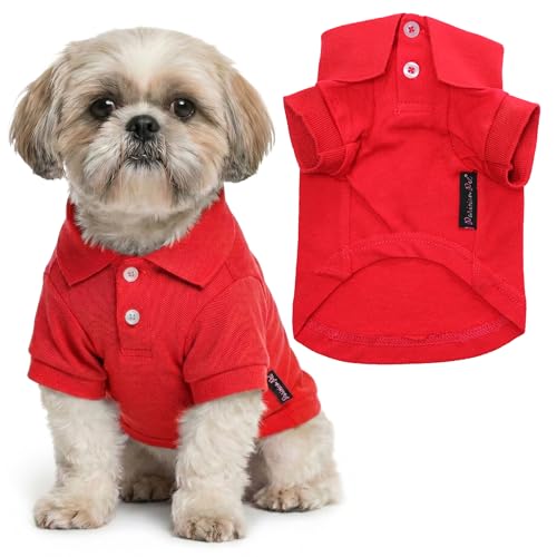 Dog Polo Shirt (M / Red Polo)