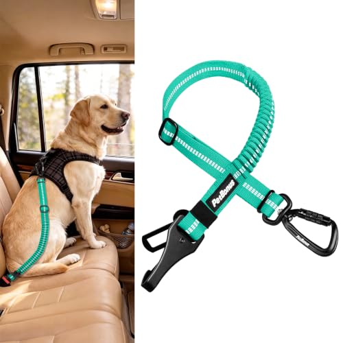 Dog Seat Belt for Car (Turquoise / 1 Pack)