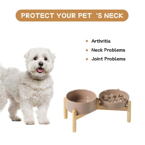 Elevated Slow Feeder Dog Bowls (Brown Coffee)