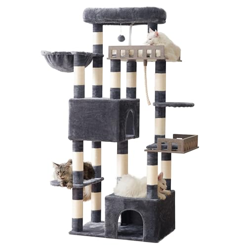 Maine Coon Cat Tree (68.5 inches / Dark Gray)