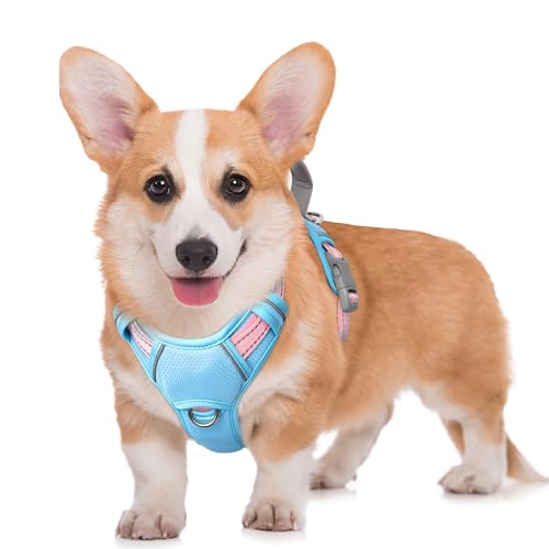 Dog Harness for Medium Sized Dog No Pull Dog Vest ID Tag Pocket (Baby Blue & Baby Pink / Medium)