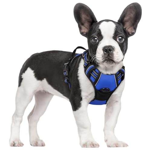 Dog Harness No Pull for Small Dogs with 2 Leash Clips (Small / Dazzling Blue)
