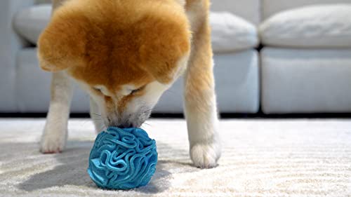 Small Breed Snuffle Puzzle Ball Treat Foraging Dog Toy Blue (Blue / Small)
