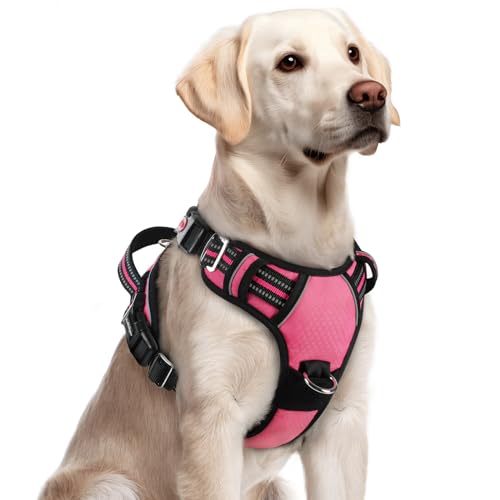 Dog Harness for Large (Pink / Large)