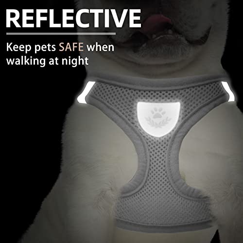 Adjustable Dog Harness Collar and Leash Set Step in No Pull Pet Harness for Small Medium Dogs Puppy and Cats Outdoor Walking Running (Solid Grey / XS (CHEST 13"-14.5"))