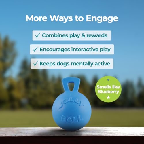 Tug-n-Toss Heavy Duty Dog Toy Ball with Handle, 8 Inches/Large, Blueberry (Blueberry / Large (8 in))
