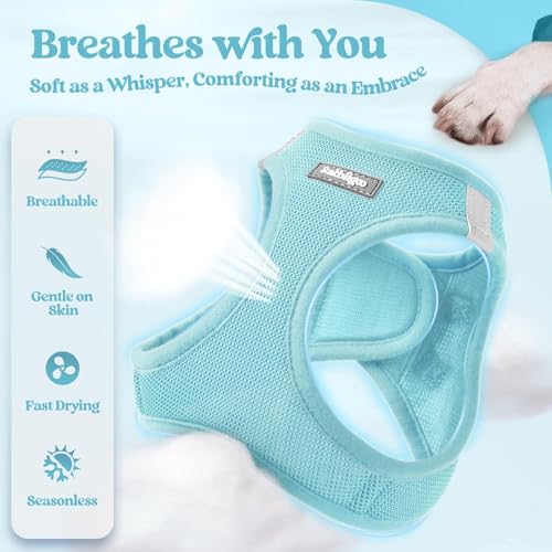 Dog Harness Small Sized and Leash Set (Mint Blue / Xs (chest: 13.3 - 15.5"))