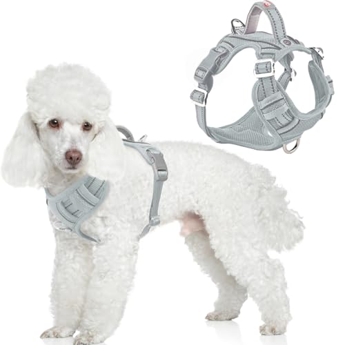 Dog Harness No Pull with ID Tag Pocket (Small(Chest:19.5-26”) / Grey)