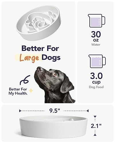 Slow Feeder Dog Bowls Ceramic (Angle White / L-3 Cups)